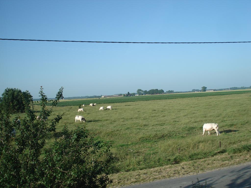 B&B Hoeve 'T Geleed Damme Exterior photo
